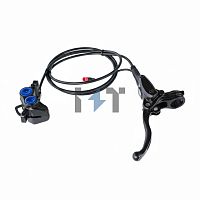 Узел заднего тормоза (LBN/STING R CE/STING R L1E)